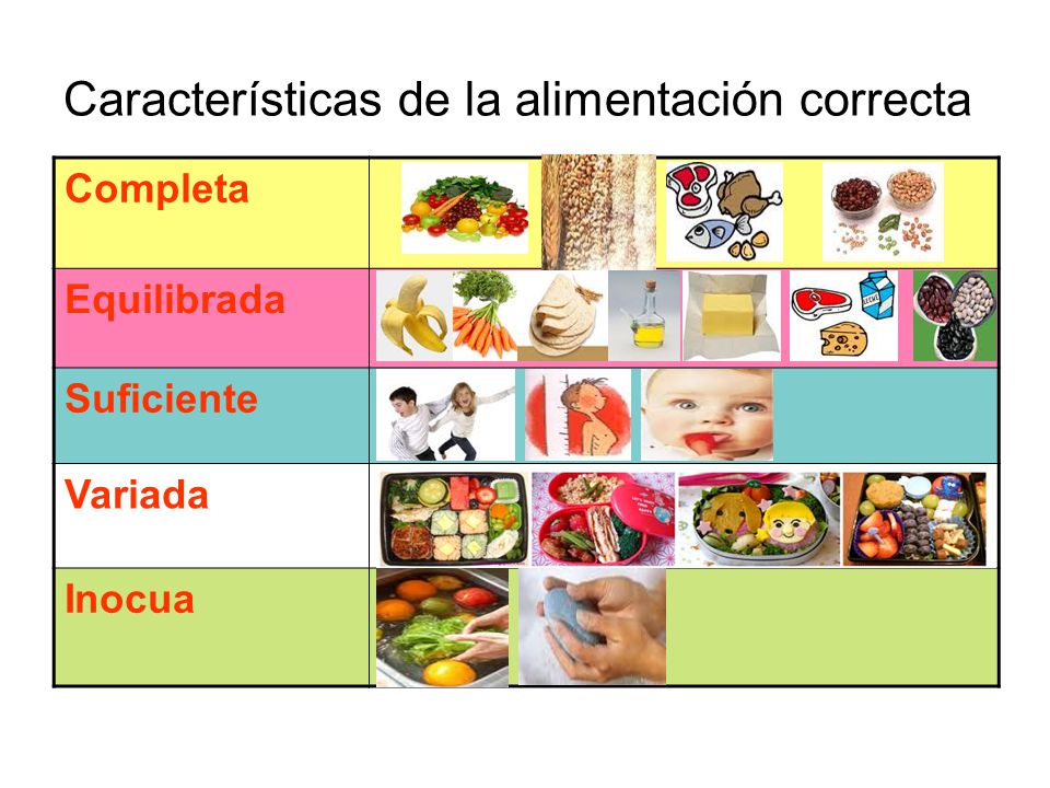 dieta correcta y caracteristicas